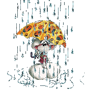did_Regen.gif (24936 Byte)